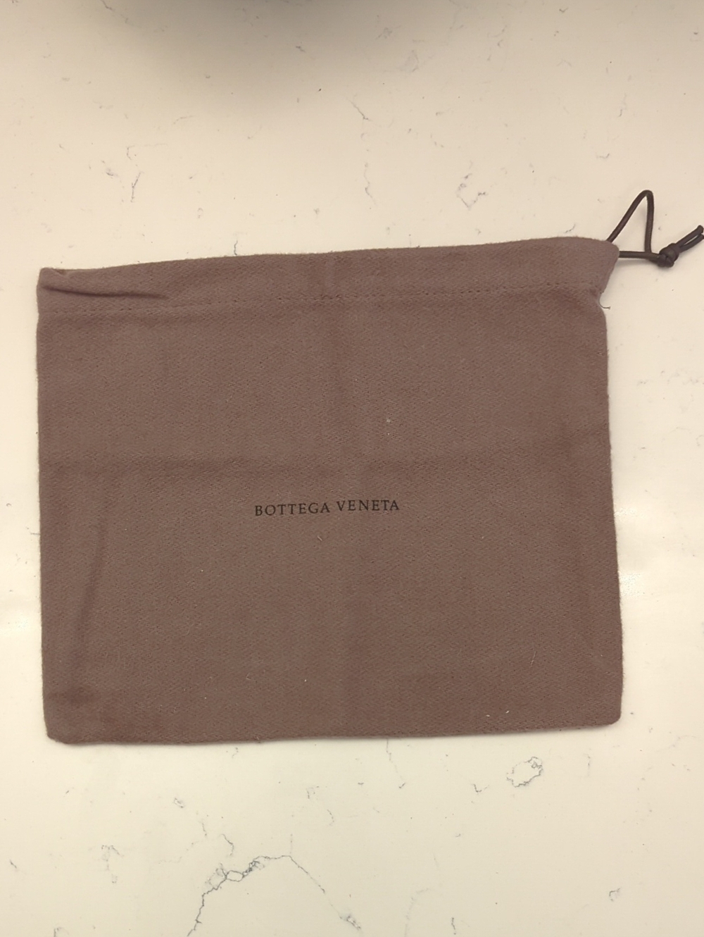 Bottega Veneta Dust Bag in Mauve